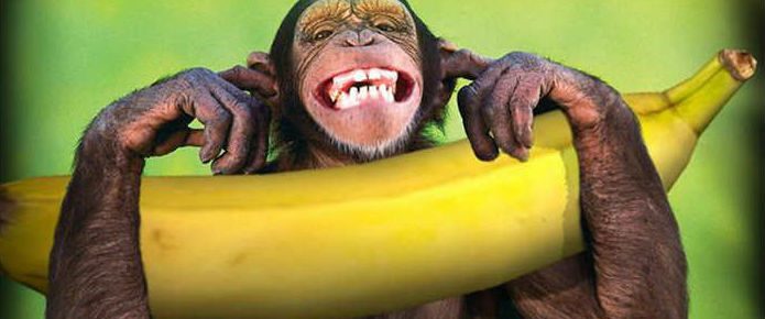 Μαϊμουντώνης Μαϊμουντώνης