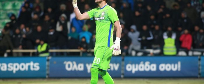 Τα φιλικά και ο Ζίφκοβιτς