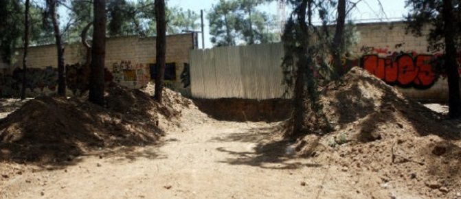 Νίκος Παπανικολάου:  Ένας αεκτζής με @ρχίδι@