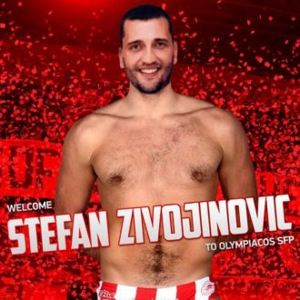 Ζιβογίνοβιτς