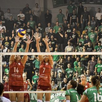 Γαργάλησαν τους… Μάου Μάου