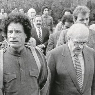 Τα ορφανά του… πουλιού Τα ορφανά του… πουλιού