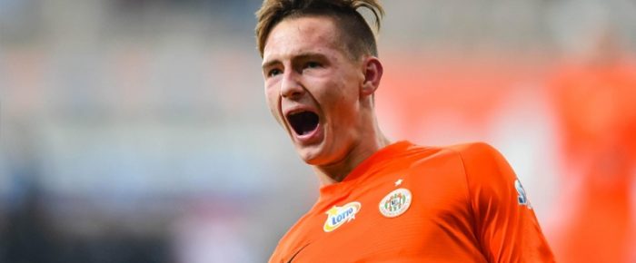 Πολωνικό κόλπο