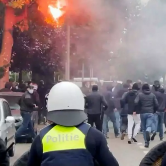 Τα άγρια Βελγάκια