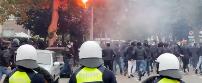 Τα άγρια Βελγάκια