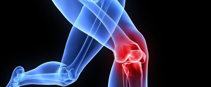 Παναγιώτη γερά