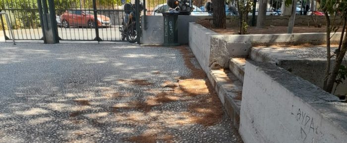 Κώστα Μπακογιάννη: Αυτός είναι ο Δήμος Αθηναίων