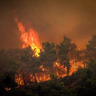 Ρόδος: Η εισαγγελέας ξύπνησε την 8η μέρα Ρόδος: Η εισαγγελέας ξύπνησε την 8η μέρα