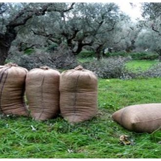 Δέκα τσουβάλια Δέκα τσουβάλια