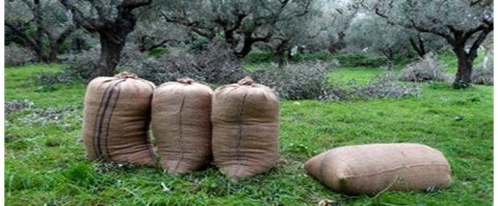 Δέκα τσουβάλια