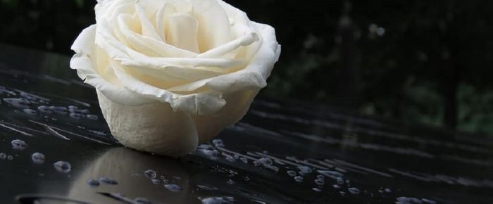 Ένα μεγάλο ευχαριστώ