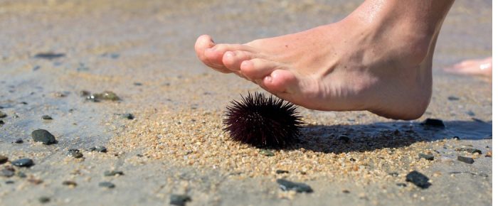 Μπανάκι μανάκι