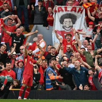 Ο βαζελόγαυρος Ο βαζελόγαυρος