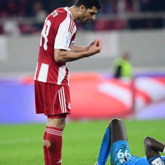 Τις μαϊμουδιές