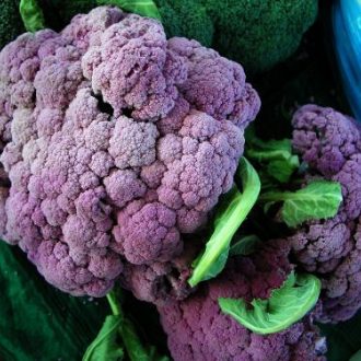 Το κόκκινο μπρόκολο Το κόκκινο μπρόκολο