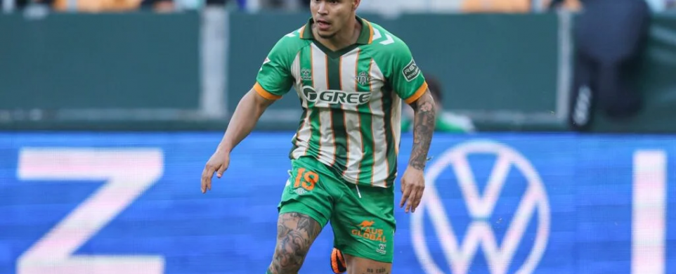 Κούτσο Ερνάντες