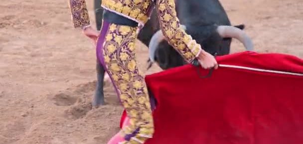 Ο Ταύρος θα δαμάσει την… Ταυρίνα