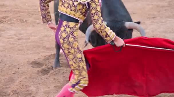 Ο Ταύρος θα δαμάσει την… Ταυρίνα