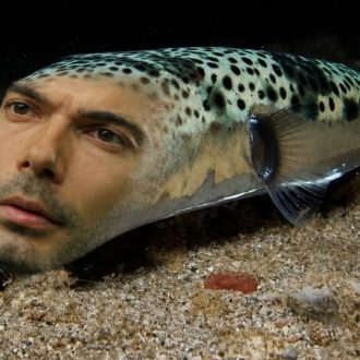 Λαγοκέφαλος: Μεταλλαγμένος Βάζελος