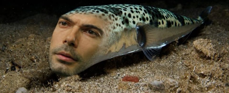 Λαγοκέφαλος: Μεταλλαγμένος Βάζελος
