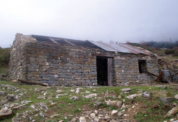 Η στάνη